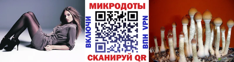 Галлюциногенные грибы прущие грибы Беломорск